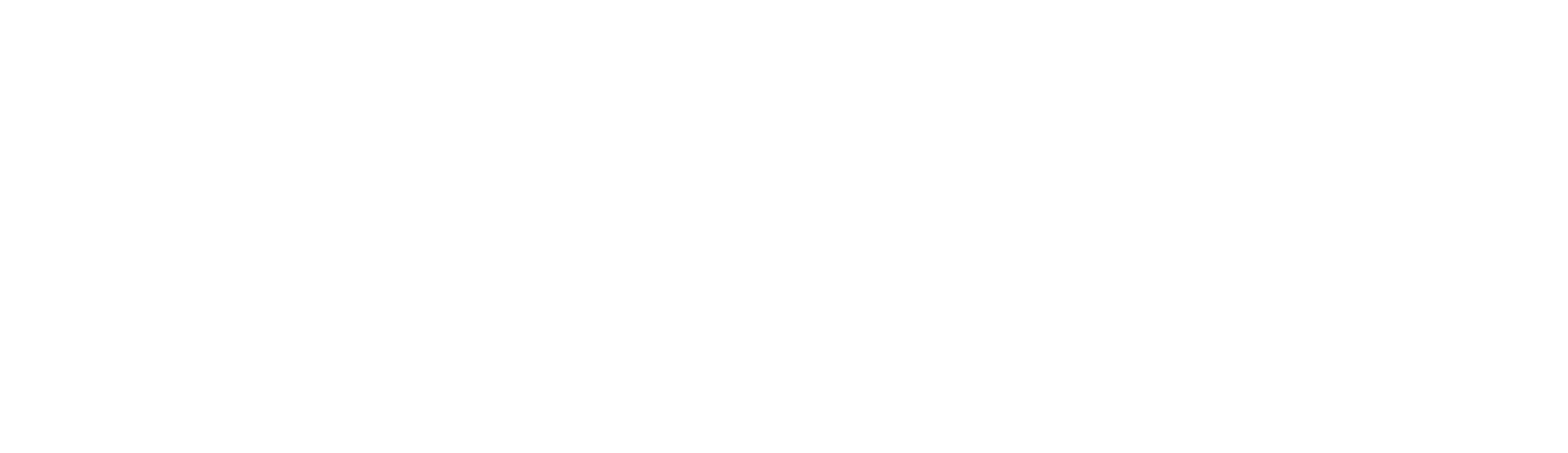 Pittnauer