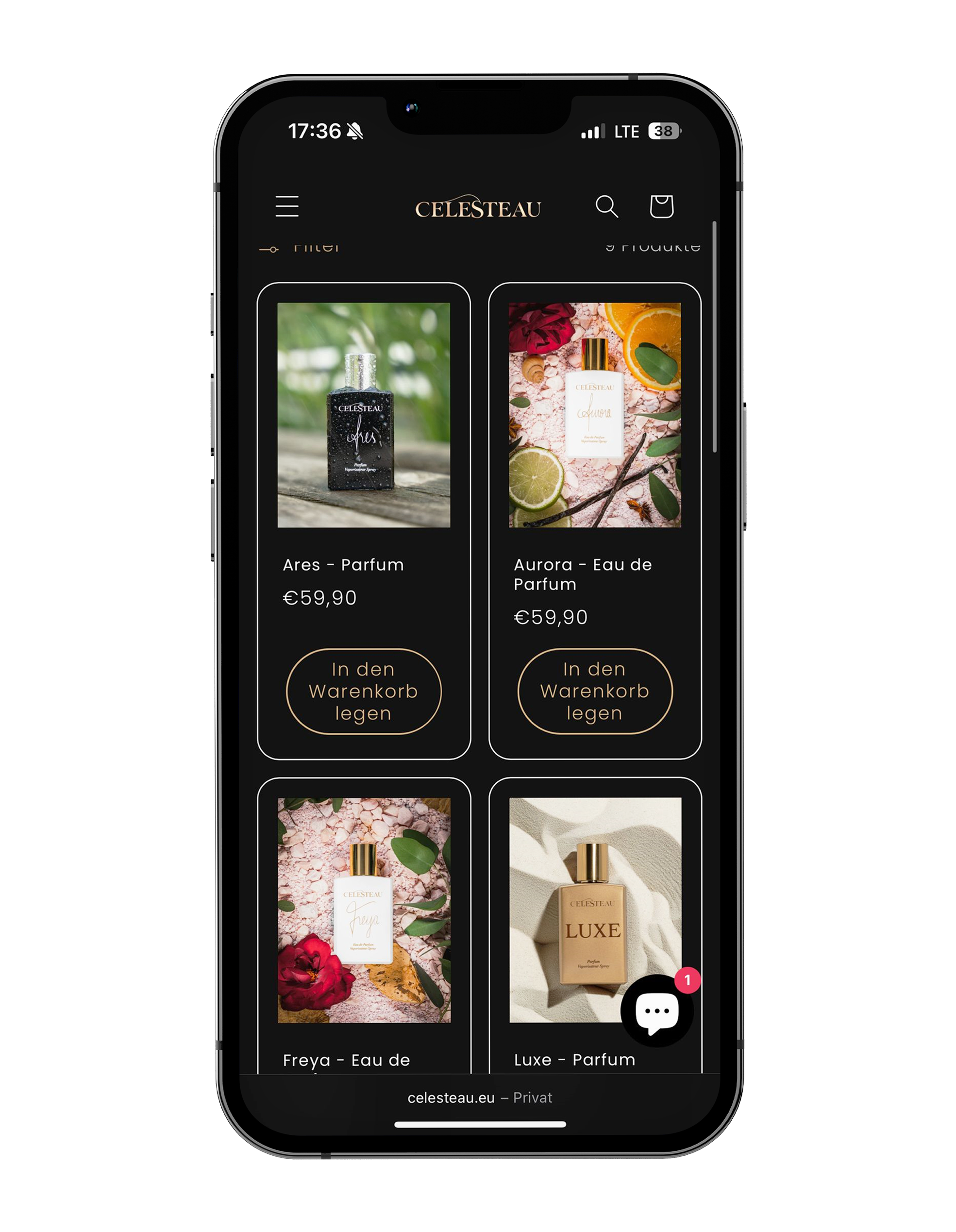 celesteau_shop1